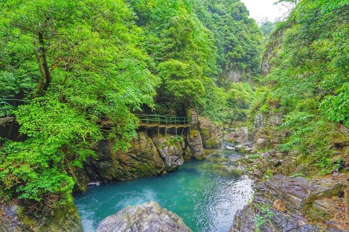 青岛高新区:动力激荡 向“新”而行